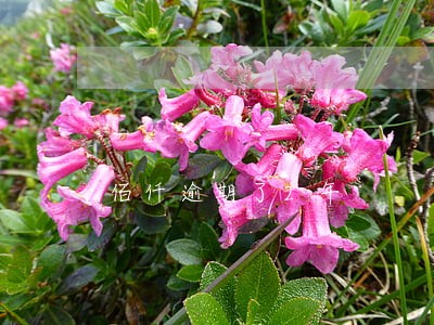 佰仟逾期了2年 佰仟逾期了2年