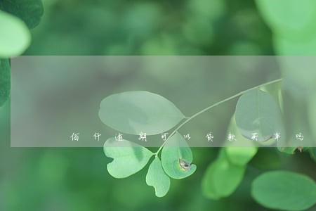 佰仟逾期可以贷款买车吗 佰仟逾期可以贷款买车吗