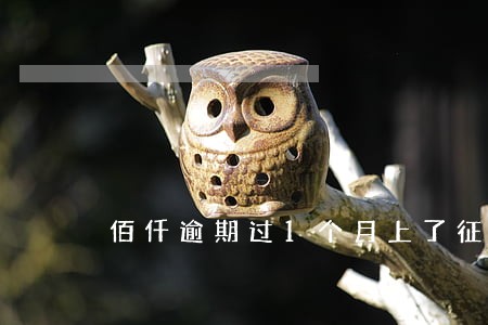 佰仟逾期过1个月上了征信