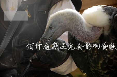 佰仟逾期还完会影响贷款嘛 佰仟逾期还完会影响贷款嘛