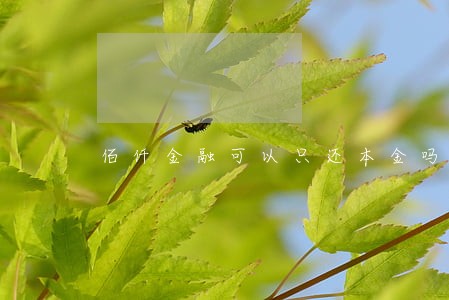 佰仟金融可以只还本金吗 佰仟金融可以只还本金吗