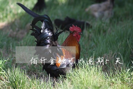 佰仟金融可以逾期5天 佰仟金融可以逾期5天