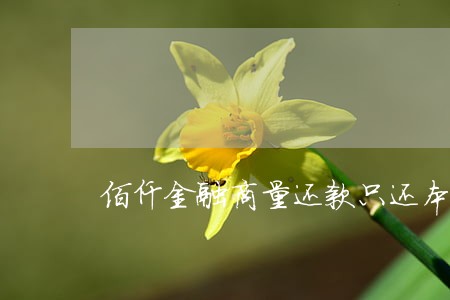 佰仟金融商量还款只还本金嘛 佰仟金融商量还款只还本金嘛