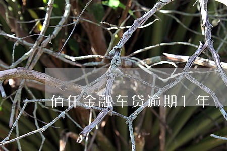 佰仟金融车贷逾期1年