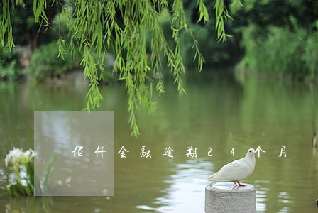 佰仟金融逾期24个月 佰仟金融逾期24个月
