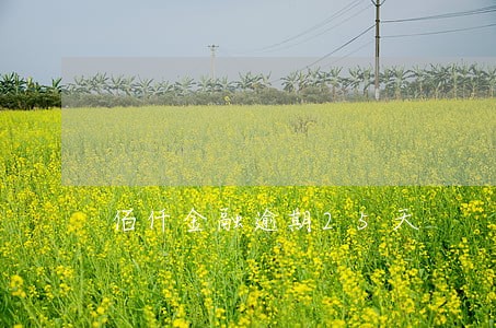 佰仟金融逾期25天 佰仟金融逾期25天