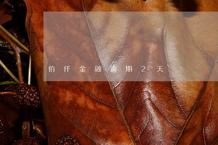 佰仟金融逾期2天 佰仟金融逾期2天