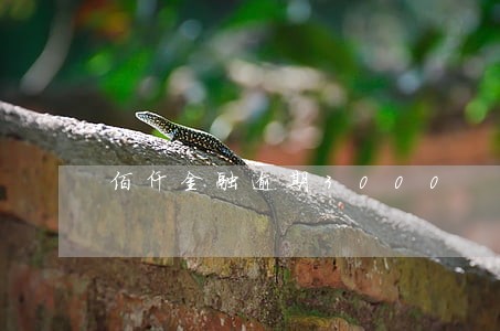 佰仟金融逾期3000 佰仟金融逾期3000