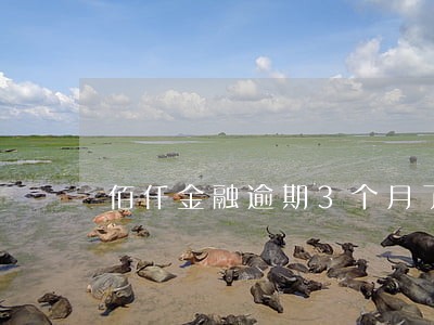 佰仟金融逾期3个月了 佰仟金融逾期3个月了