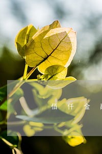 佰仟金融逾期3天有事吗 佰仟金融逾期3天有事吗