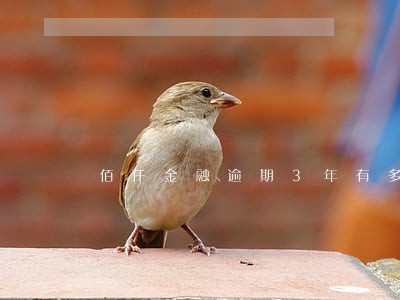 佰仟金融逾期3年有多少利息 佰仟金融逾期3年有多少利息