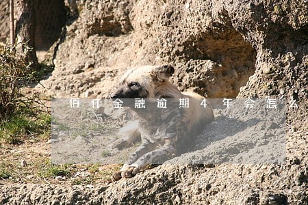 佰仟金融逾期4年会怎么样 佰仟金融逾期4年会怎么样