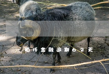 佰仟金融逾期62天 佰仟金融逾期62天
