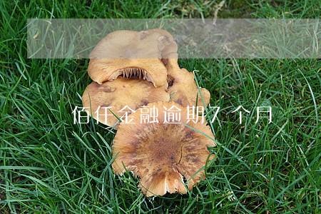 佰仟金融逾期7个月 佰仟金融逾期7个月