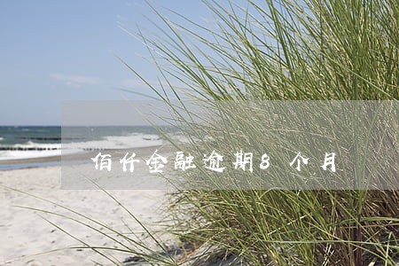 佰仟金融逾期8个月 佰仟金融逾期8个月