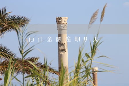 佰仟金融逾期8天 佰仟金融逾期8天
