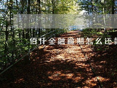 佰仟金融逾期怎么还款只还本金 佰仟金融逾期怎么还款只还本金