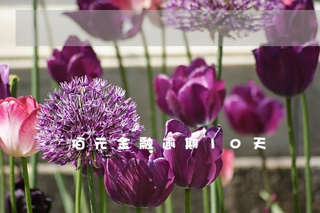 佰元金融逾期10天 佰元金融逾期10天