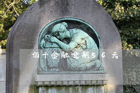 佰千金融逾期56天 佰千金融逾期56天