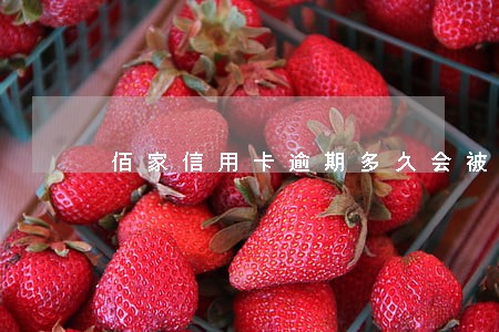佰家信用卡逾期多久会被起诉 佰家信用卡逾期多久会被起诉