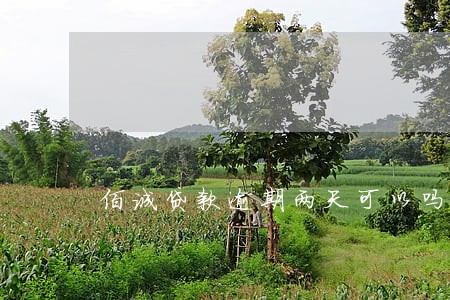 佰诚贷款逾期两天可以吗 佰诚贷款逾期两天可以吗