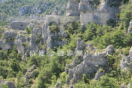 佰账金融逾期10天 佰账金融逾期10天