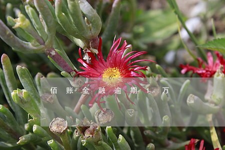 佰账金融逾期1万 佰账金融逾期1万
