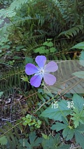 佰额金融逾期7个月 佰额金融逾期7个月