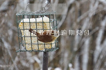 佳兆业理财逾期兑付 佳兆业理财逾期兑付