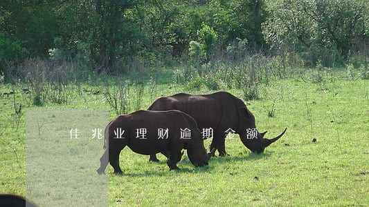 佳兆业理财逾期金额