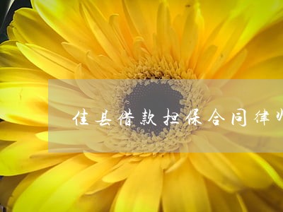 佳县借款担保合同律师 佳县借款担保合同律师