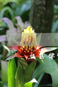 佳县律师咨询热线电话 佳县律师咨询热线电话