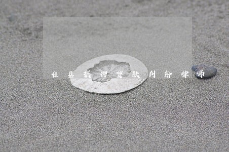 佳县抵押贷款纠纷律师 佳县抵押贷款纠纷律师