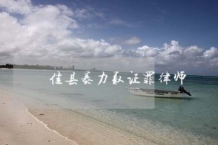 佳县暴力取证罪律师