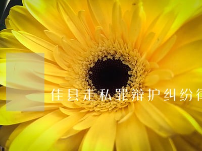 佳县走私罪辩护纠纷律师 佳县走私罪辩护纠纷律师