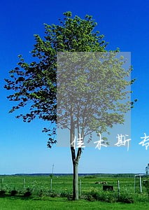 佳木斯专业贩毒罪律师有哪些 佳木斯专业贩毒罪律师有哪些