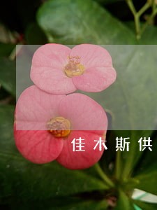 佳木斯供热条例规定 佳木斯供热条例规定