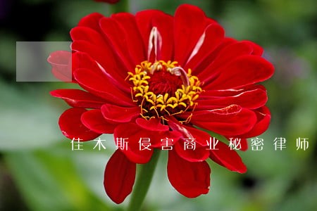佳木斯侵害商业秘密律师排名 佳木斯侵害商业秘密律师排名