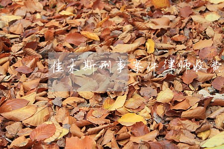 佳木斯刑事案件律师收费 佳木斯刑事案件律师收费