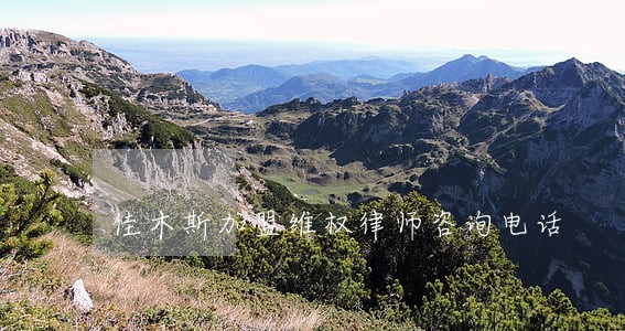 佳木斯加盟维权律师咨询电话