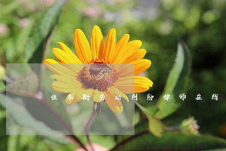 佳木斯劳动纠纷律师在线