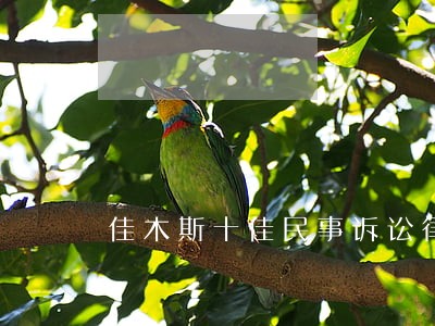 佳木斯十佳民事诉讼律师哪个好 佳木斯十佳民事诉讼律师哪个好