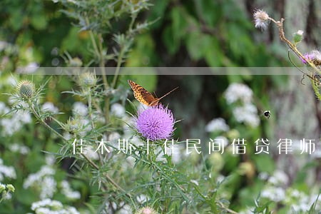 佳木斯十佳民间借贷律师在线咨询 佳木斯十佳民间借贷律师在线咨询
