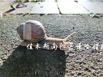 佳木斯向阳区保险理赔律师 佳木斯向阳区保险理赔律师