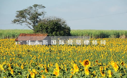 佳木斯国际贸易律师网 佳木斯国际贸易律师网