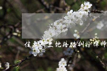 佳木斯土地赔偿纠纷律师 佳木斯土地赔偿纠纷律师