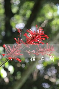 佳木斯市代理玩忽职守案律师