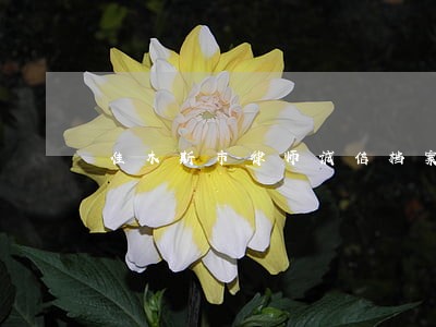 佳木斯市律师诚信档案