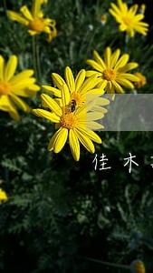 佳木斯律师在线咨询记录 佳木斯律师在线咨询记录