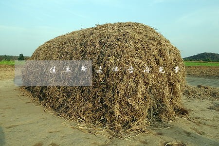 佳木斯法律咨询免费 佳木斯法律咨询免费
